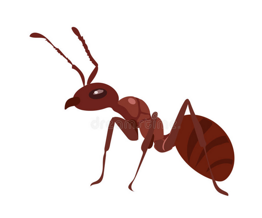 C&rsquo;est quoi l&rsquo;innovation pédagogique  ?